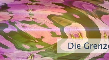 Die Grenzen der Sinne