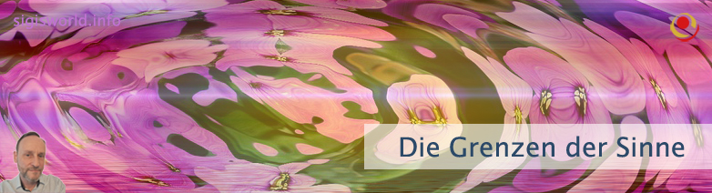Die Grenzen der Sinne