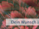 Dein Wunsch ist ein Geschenk