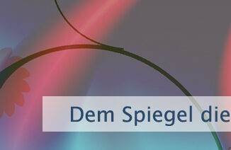 Dem Spiegel die Schuld geben