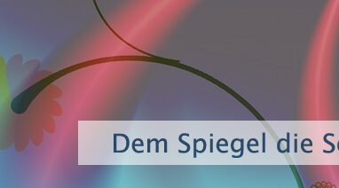 Dem Spiegel die Schuld geben