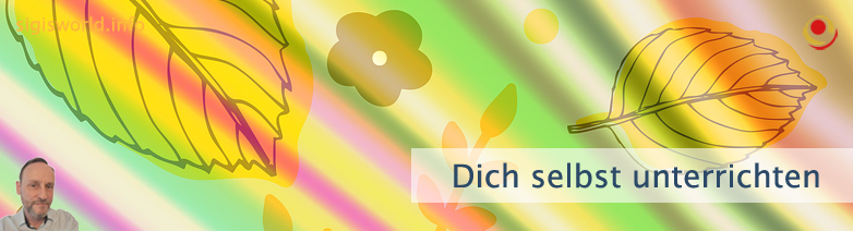 Dich selbst unterrichten