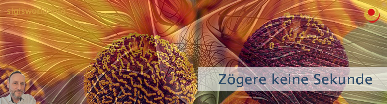 Zögere keine Sekunde Zögere keine Sekunde