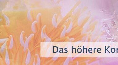 Das höhere Konzept wartet