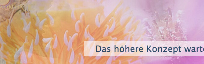 Das höhere Konzept wartet