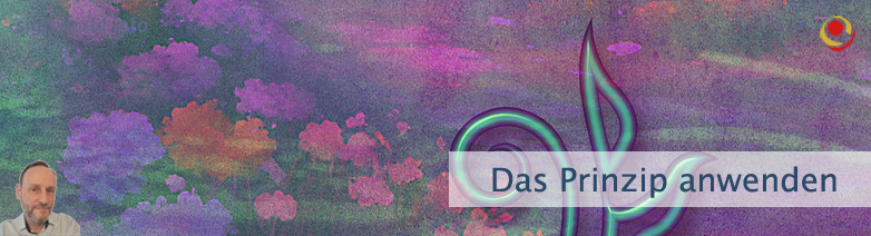 Das Prinzip anwenden