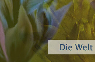 Die Welt ist ein Spiegel