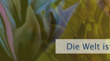 Die Welt ist ein Spiegel