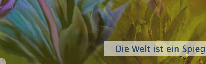 Die Welt ist ein Spiegel