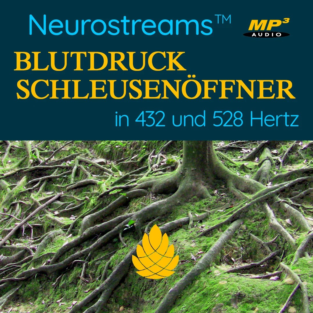 Blutdruck Schleusenöffner