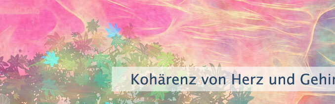 Kohärenz von Herz und Gehirn