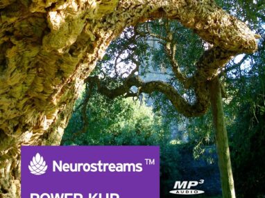 Power-Kur Immunsystem