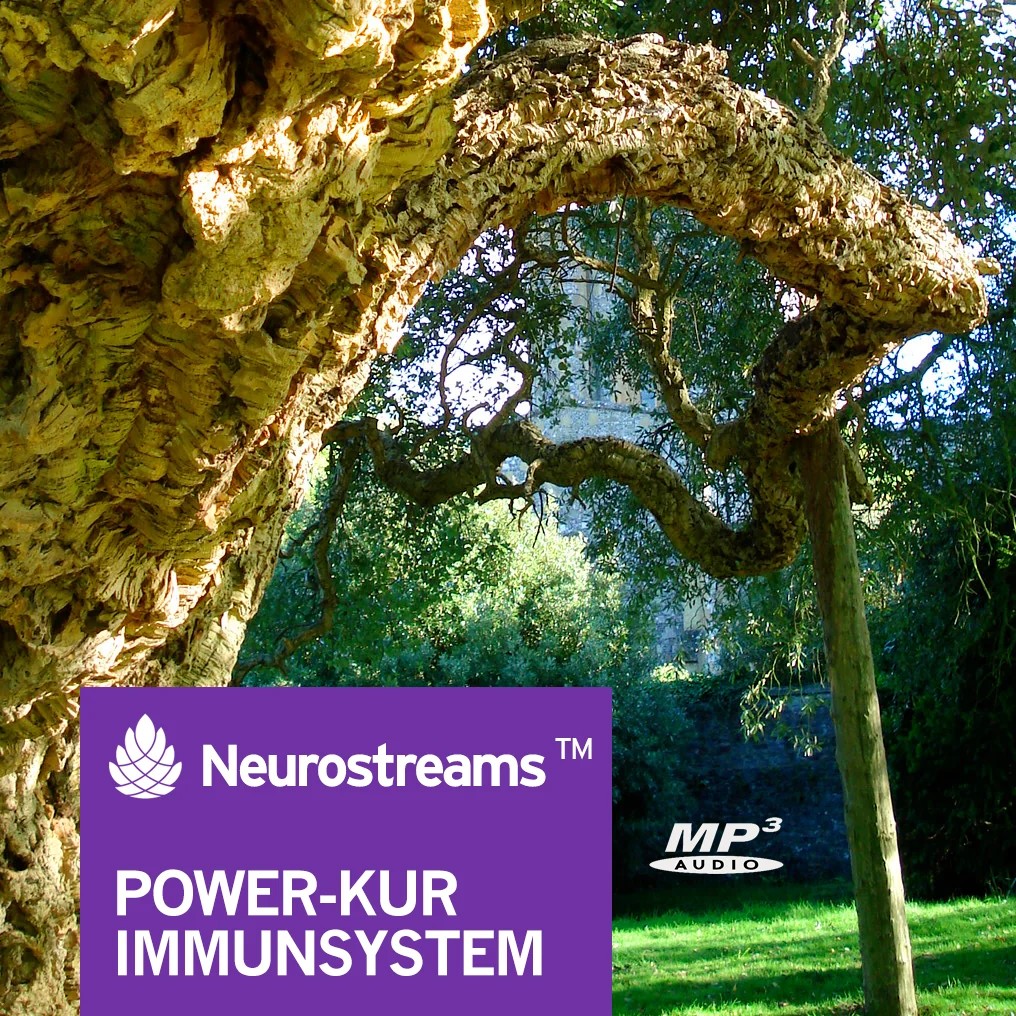 Power-Kur Immunsystem