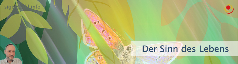 Der Sinn des Lebens