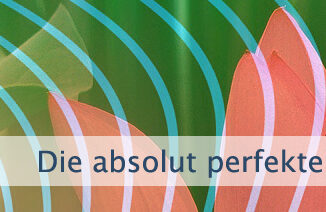 Die absolut perfekte Manifestation