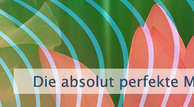 Die absolut perfekte Manifestation