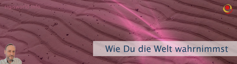 Wie Du die Welt wahrnimmst