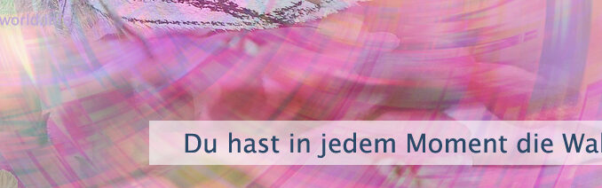Du hast in jedem Moment die Wahl