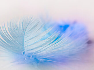 Leichtigkeit statt Kampf