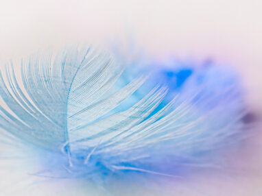 Leichtigkeit statt Kampf