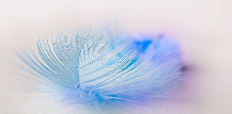 Leichtigkeit statt Kampf