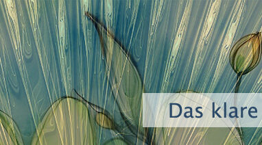 Das klare Verständnis