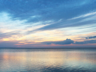 Die Illusion der Trennung