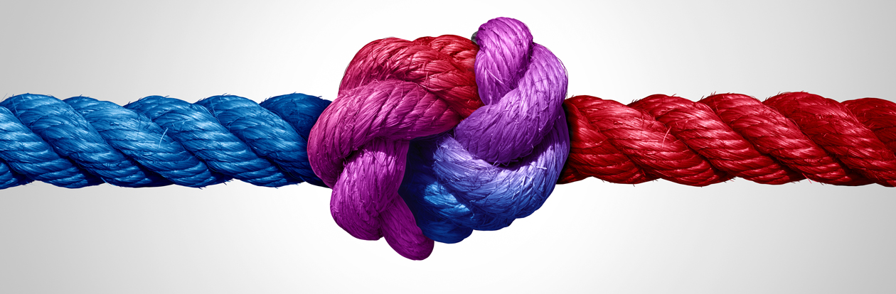 Rote Links Rote Links