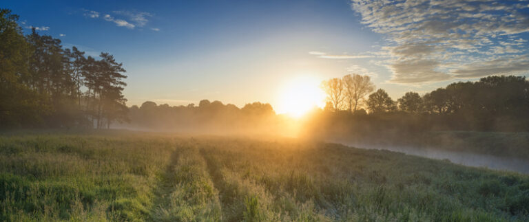 Die stille Macht der Gegenwart