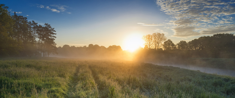Die stille Macht der Gegenwart