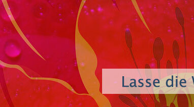 Lasse die Welt in Ruhe