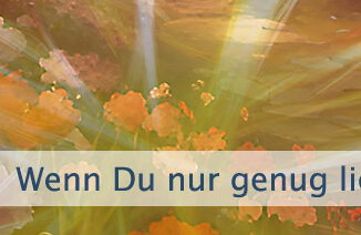 Wenn Du nur genug lieben könntest