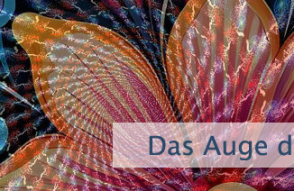 Das Auge der Vorstellung