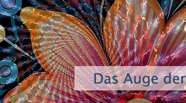 Das Auge der Vorstellung