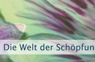 Die Welt der Schöpfung ist vollendet