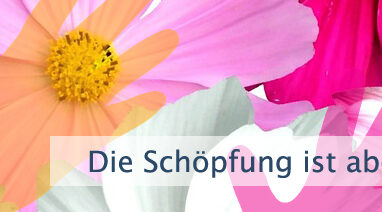 Die Schöpfung ist abgeschlossen