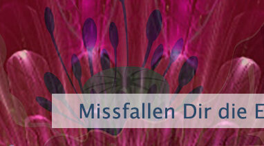 Missfallen Dir die Erfahrungen?