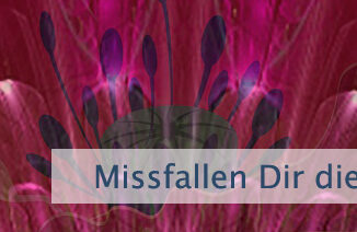 Missfallen Dir die Erfahrungen