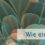 Wie ein Konflikt entsteht